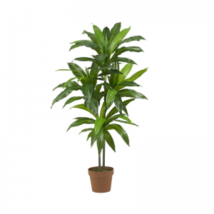 Bất động cảm ứng palnts(trongnhà&ngoài trời)